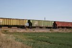BN 461579